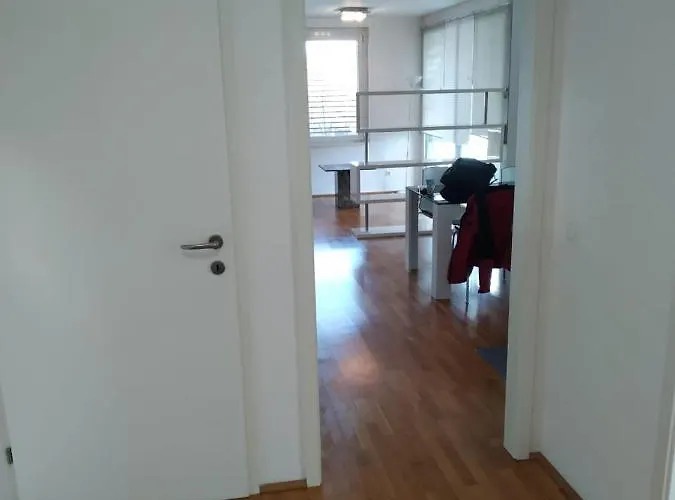 Donau Ufer Stadt Mitte لينتز