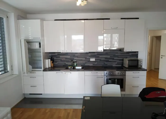 Donau Ufer Stadt Mitte * لينتز