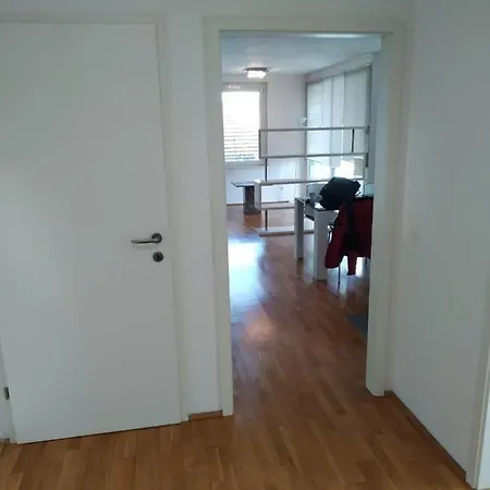 Donau Ufer Stadt Mitte Linz